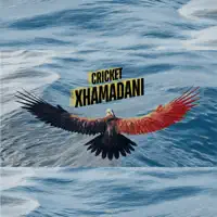 xhamadani — cricket