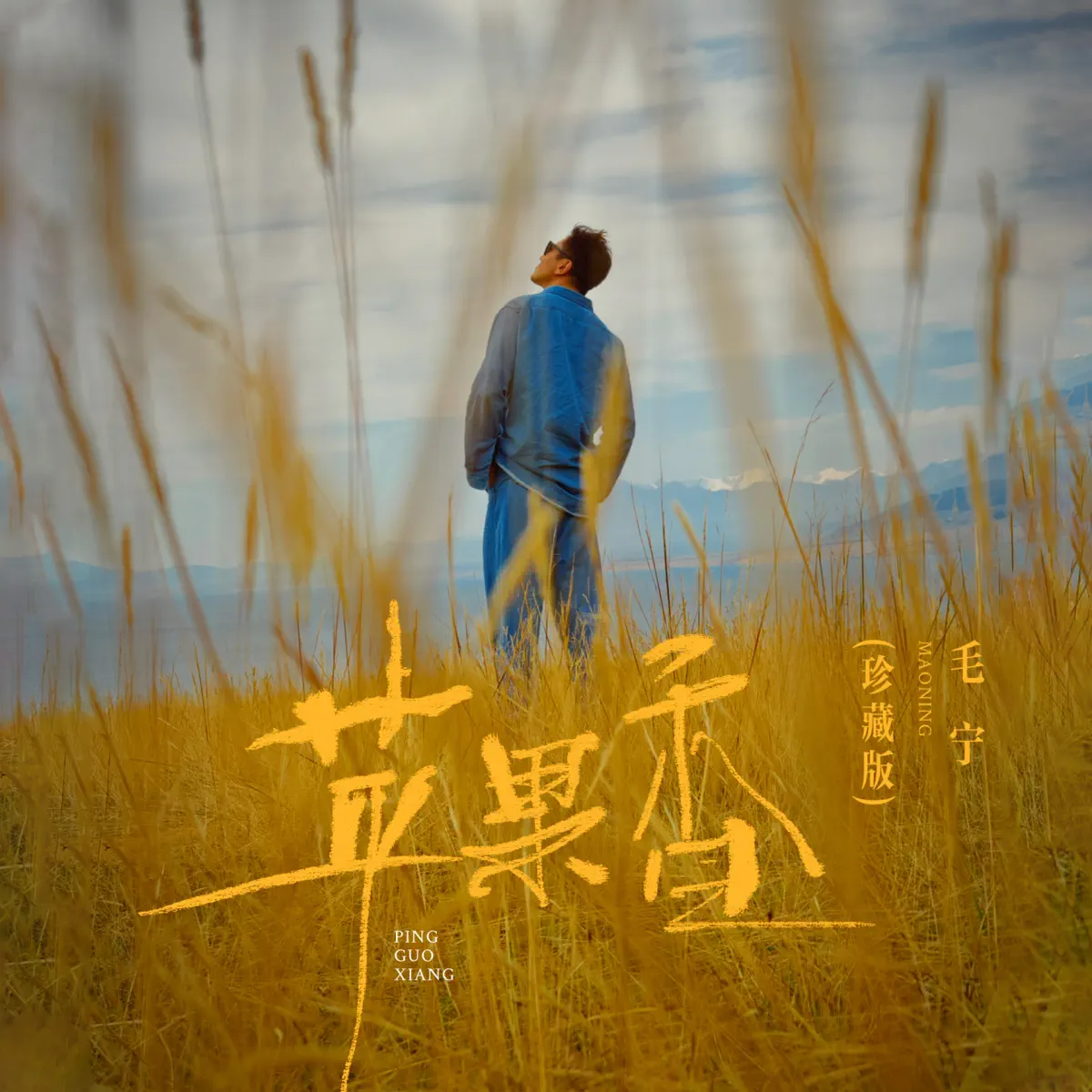 毛宁 - 苹果香 (珍藏版) - Single (2024) [iTunes Plus AAC M4A]-新房子