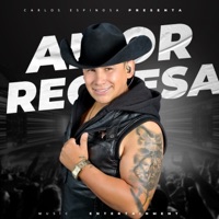 Amor Regresa - Single - Carlos Espinosa