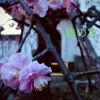 spring party