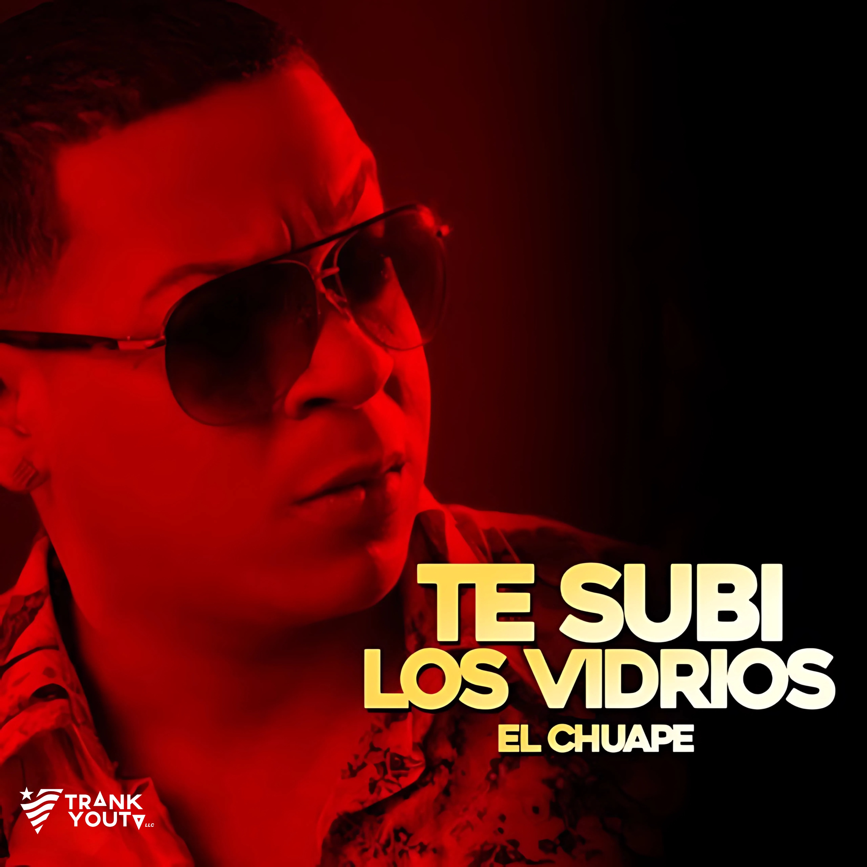Te Subi Lo Vidrio - Single