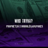 Who Tryna? (feat. Dribblegangpoke5) - Single - PROPHET28
