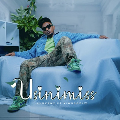 Usinimiss (feat. Viongozi 255) - Single