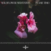 Wildflower Meditation (feat. Jasper Whisper & Sensory Meditation) - Single - Flame Timo