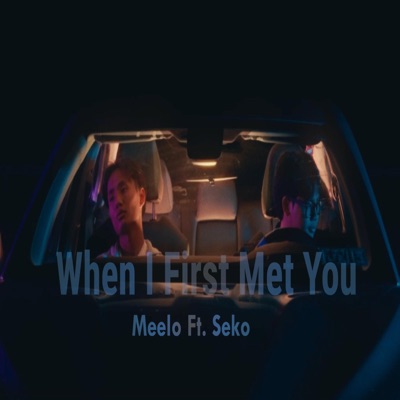 When I First Met You (feat. Seko) - Single