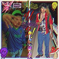 Are U Down?!:,) (feat. S2j) - Single - Don Ramiah