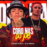 Coro nas do Job (feat. DG DO BROOKLYN) - Single - Luanzinho do Recife