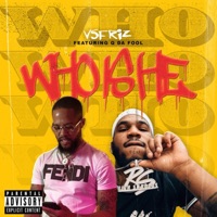 Who Is He (feat. Q Da Fool) - Single - VsFriz