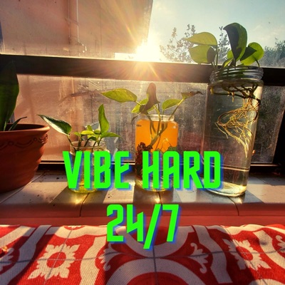 Vibe Hard 24/7 - Single