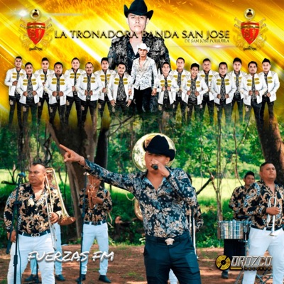 Fuerzas FM - Single