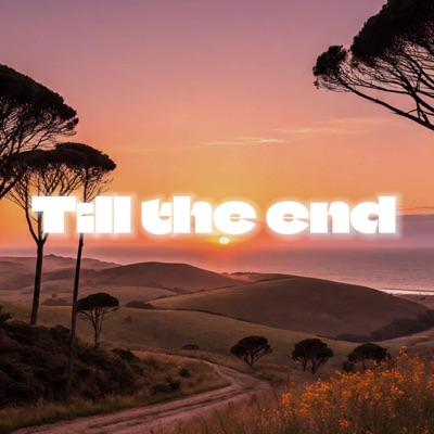 Till the end (feat. Meo) - Single