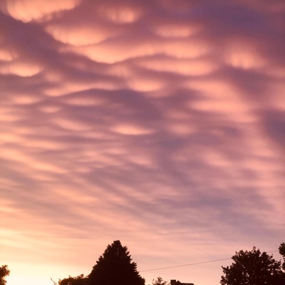 Sunset Shades