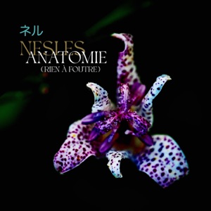 ANATOMIE (feat. BlauBird) [Rien à foutre]