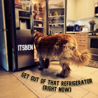 GET OUT OF THAT REFRIGERATOR (RIGHT NOW) - Single