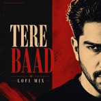 Tere Baad (Lofi) - Single