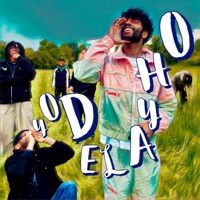 YODELAYHO (feat. LilFlacko, Azubs, MON4RCH, AKay & Clarity) - Single - Finn Dynasty & AFNF