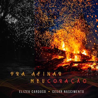 Pra Afinar Meu Coração - Single