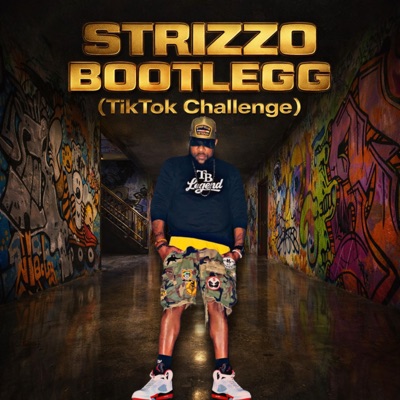 Bootlegg (TikTok Challenge) (feat. DJ Teratory & DJ Chipman) - Single