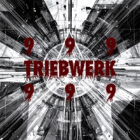 TRIEBWERK 9 - Single - Selektivv