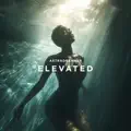 Elevated