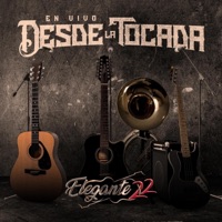 Album cover for Madonna (En vivo) by Elegante 22
