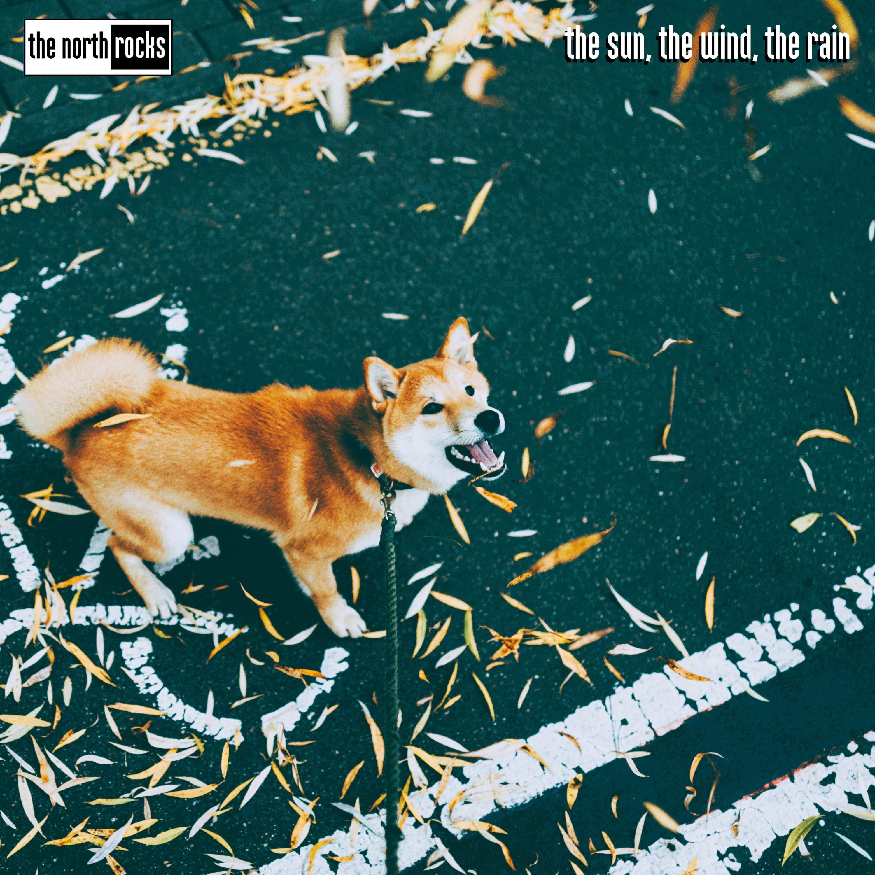 ROCK FM METAL - Everything that Rocks!