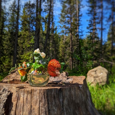 Dark Places In a Bright Room - EP