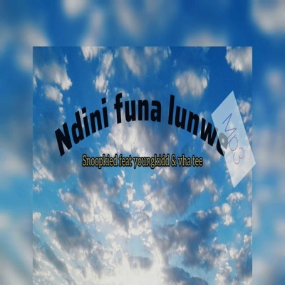 Ndini funa lunwe - Single