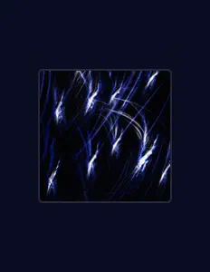 Escucha a transient memories, mira vídeos musicales, lee la biografía, consulta fechas de giras y mucho más.