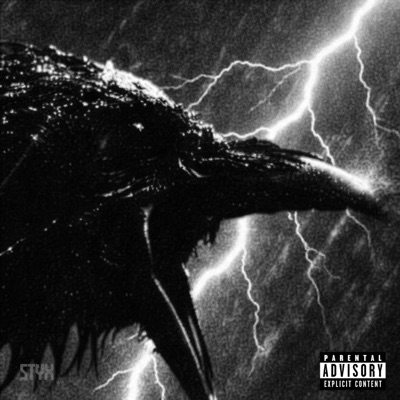 ChaqueNuit (VIP) - Single