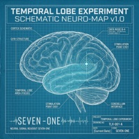 Temporal Lobe Experiment - Y.N.X. 716