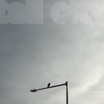 clear net - Single