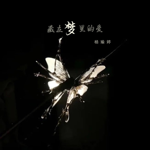 藏在梦里的爱 - Single