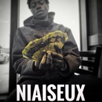 Niaiseux - Single
