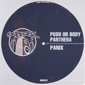 Push Ur Body / Panthera - Single