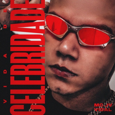 Vida de Celebridade - Single