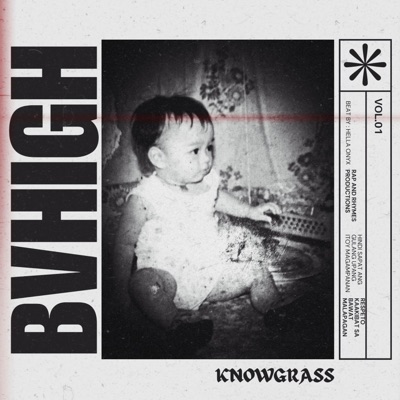Bvhigh - Single