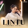 Lintu - Single