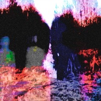 WALRUS - Single - Berith