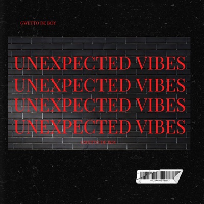 UNEXPECTED VIBES - Single