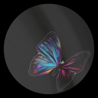 DSPK - Single - Felix Groove