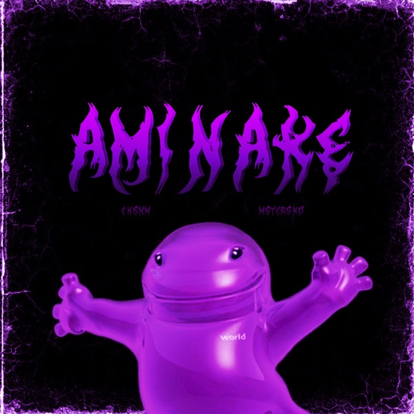 AMINAKE FUNK - Single