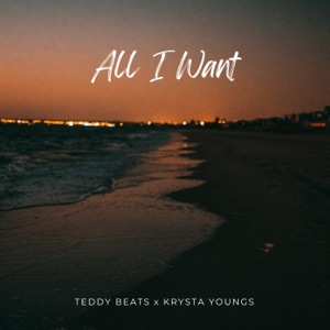 All I Want - Single