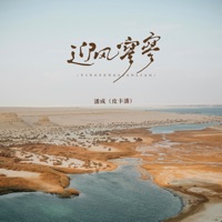 迎风寥寥 - Single - 潘成(皮卡潘)