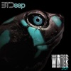 Btdeep Winter 2021