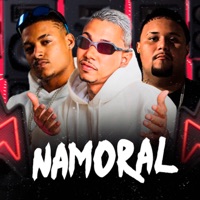 Namoral - Single - Meck Gibizinho, Fael Cva & MC Nicolas da Z.O