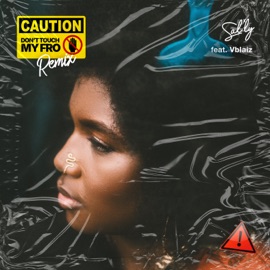Don't Touch My Fro II Sal Ly & VBlaiz