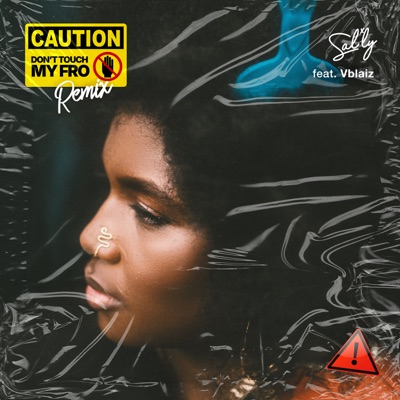 Don't Touch My Fro II - Single