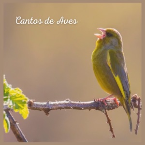 Cantos de Aves