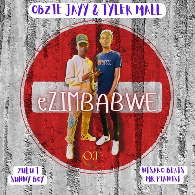 eZimbabwe (feat. Sunnyboy, Zulu-T, Ntsako Beats & Mr Pianist) - Single